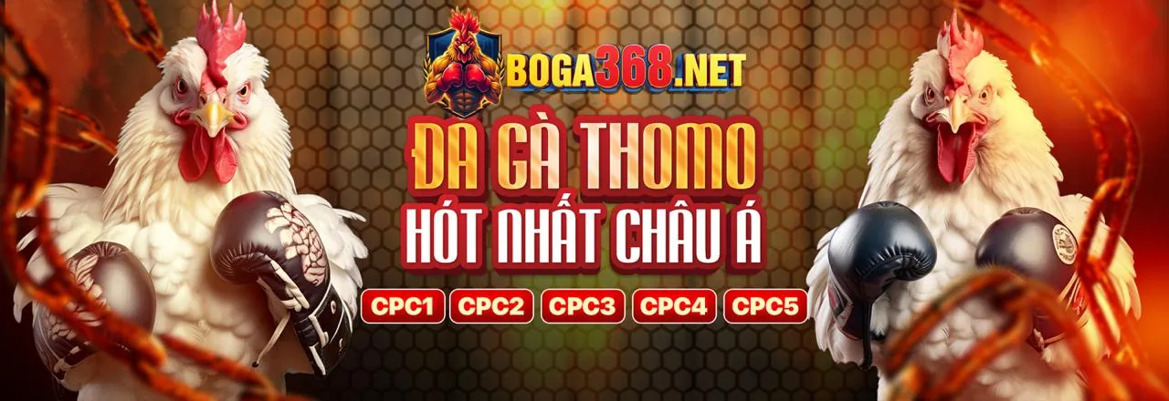 Đá Gà Trực Tiếp 1888b